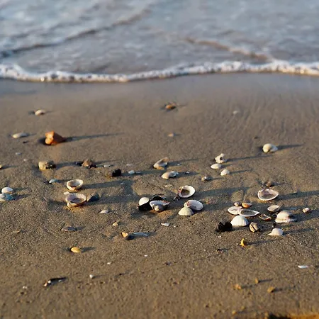 Apartment Beachfront With A Big Terrace Bibione